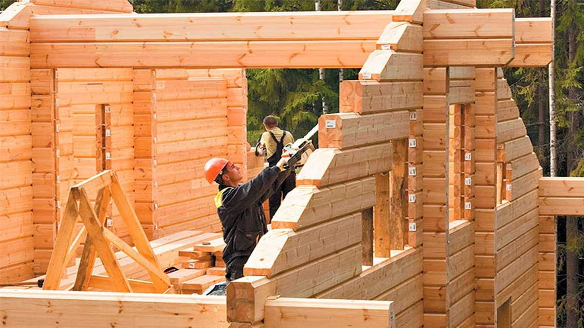 Как выбрать древесину для строительства своего дома: советы профессионалов.