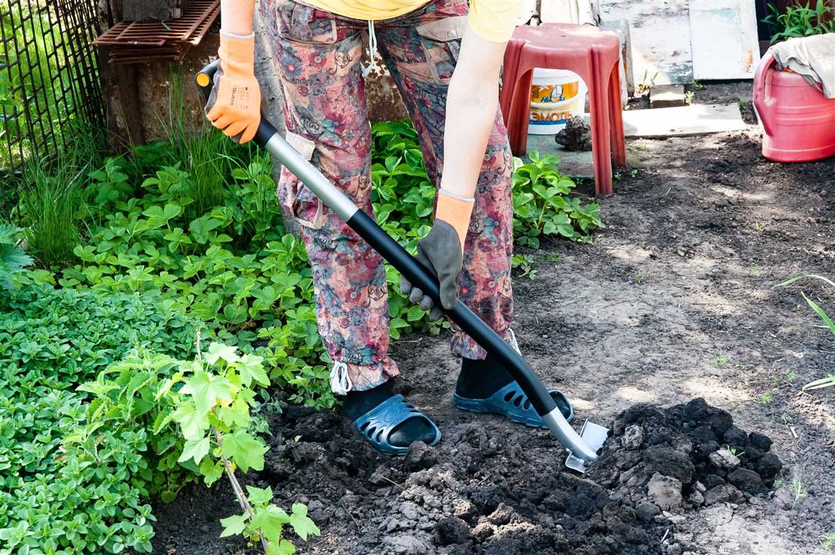Плюсы и недостатки использования лопаты в саду