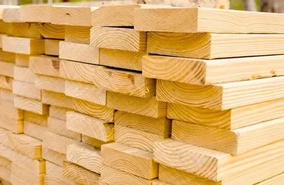 Различные виды древесины и их применение в ремонте и строительстве
