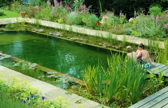 Садовые пруды: создание и уход за идеальным водным объектом