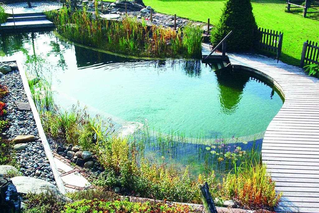 Садовые пруды: здесь рыбки и растения будут чувствовать себя как дома