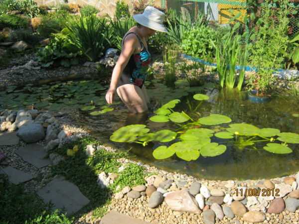 Садовые водоемы: создание экзотической атмосферы на участке